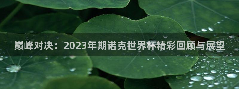 世界直播：巅峰对决：2023年期诺克世界杯精彩回顾与展望