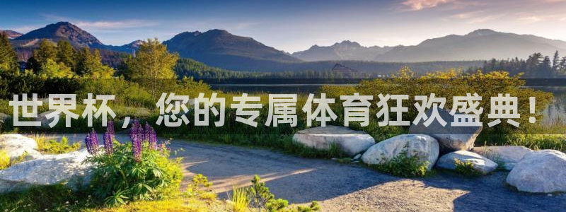 2026世界杯：世界杯，您的专属体育狂欢盛典！