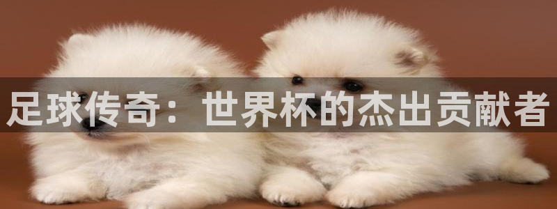 2026年世界杯时间表：足球传奇：世界杯的杰出贡献者
