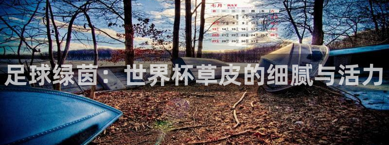 世界杯小组赛赛程：足球绿茵：世界杯草皮的细腻与活力