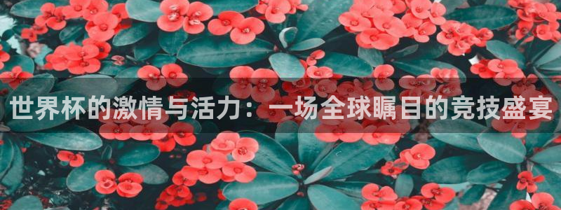 世界杯决赛圈球队：世界杯的激情与活力：一场全球瞩目的竞技盛宴