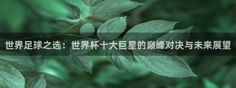 欧洲世界杯预选赛赛程：世界足球之选：世界杯十大巨星的巅峰对决与未来展望