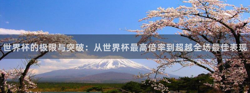 世界杯 2026：世界杯的极限与突破：从世界杯最高倍率到超越全场最佳表现
