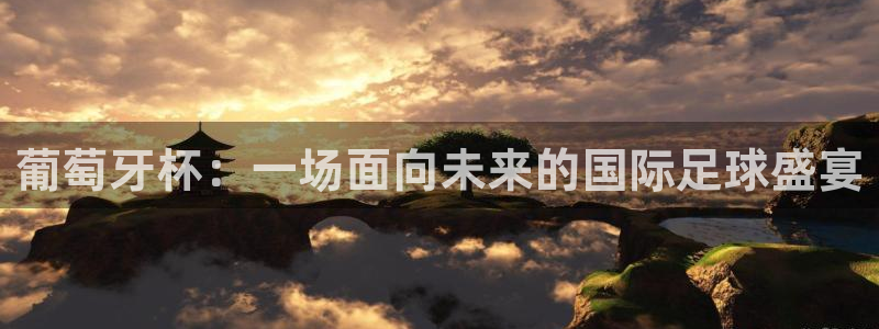 世界杯直播在线观看入口：葡萄牙杯：一场面向未来的国际足球盛宴
