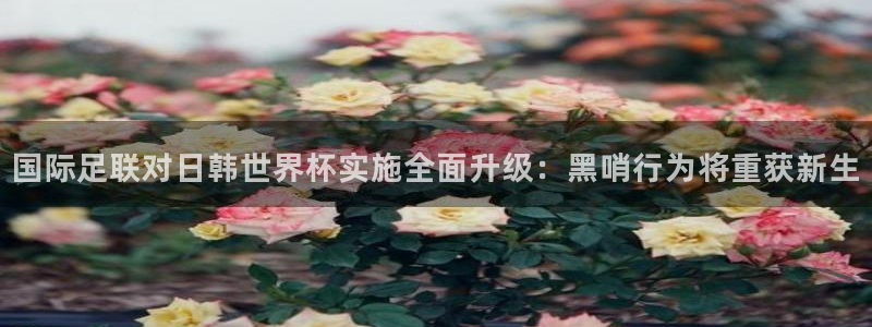 世界杯球队：国际足联对日韩世界杯实施全面升级：黑哨行为将重获新生