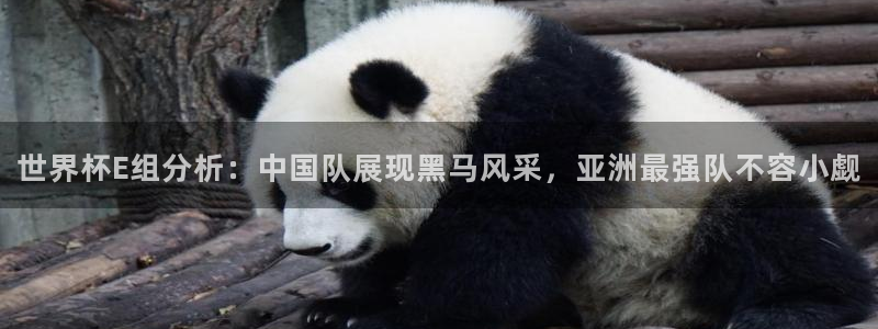 世界杯决赛直播：世界杯E组分析：中国队展现黑马风采，亚洲最强队不容小觑