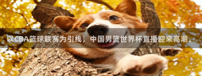 世界杯亚洲预选赛18强赛程：以CBA篮球联赛为引线，中国男篮世界杯直播迎来高潮。