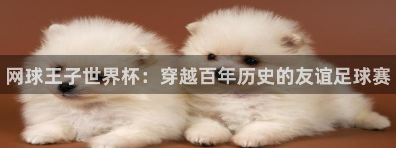 世界杯直播：网球王子世界杯：穿越百年历史的友谊足球赛
