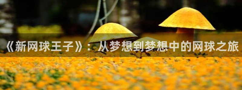 预选赛世界杯：《新网球王子》：从梦想到梦想中的网球之旅
