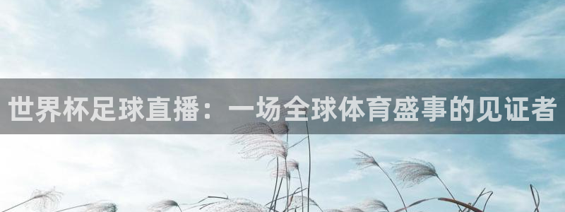 世界杯预选赛赛程表：世界杯足球直播：一场全球体育盛事的见证者