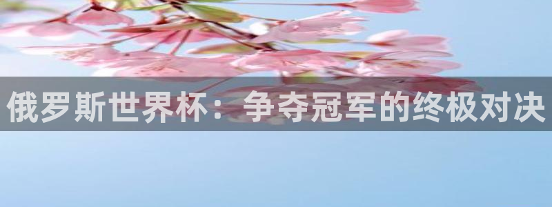 看世界杯：俄罗斯世界杯：争夺冠军的终极对决